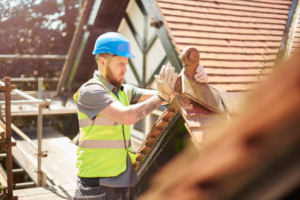Best Metal Roofing Contractor  in Senatobia, MS